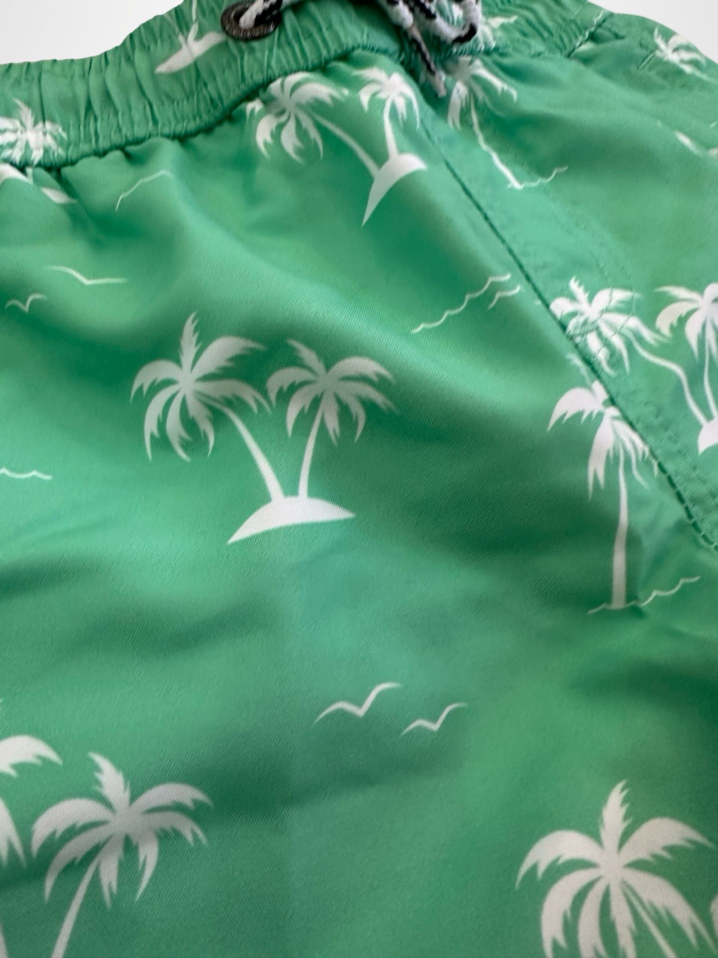 Palms Swimsuit Shorts